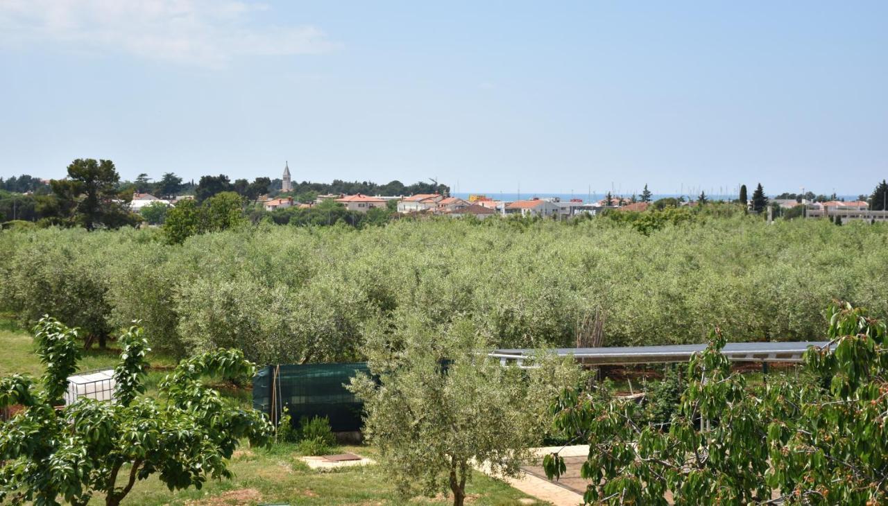 Apartmani Diana Novigrad Istria Exteriér fotografie