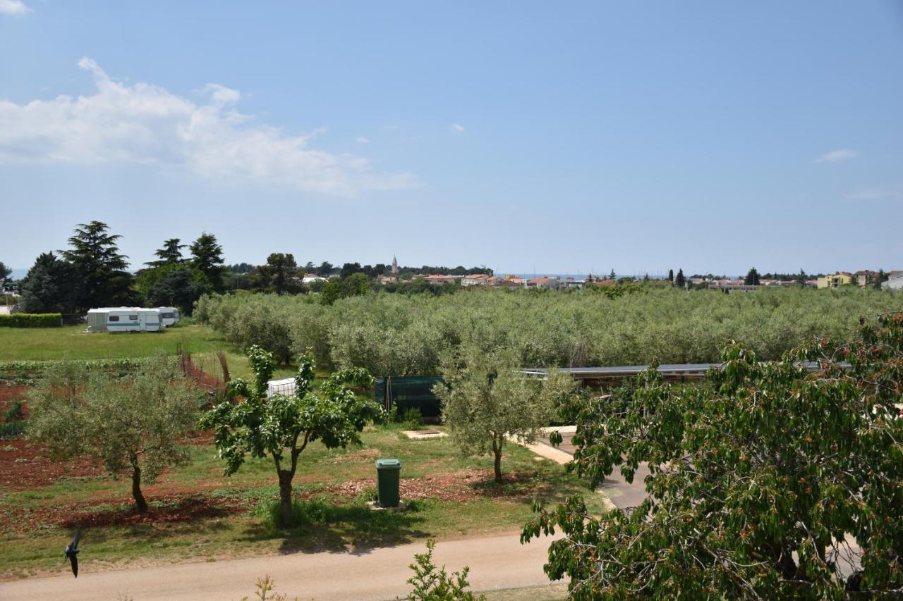 Apartmani Diana Novigrad Istria Exteriér fotografie